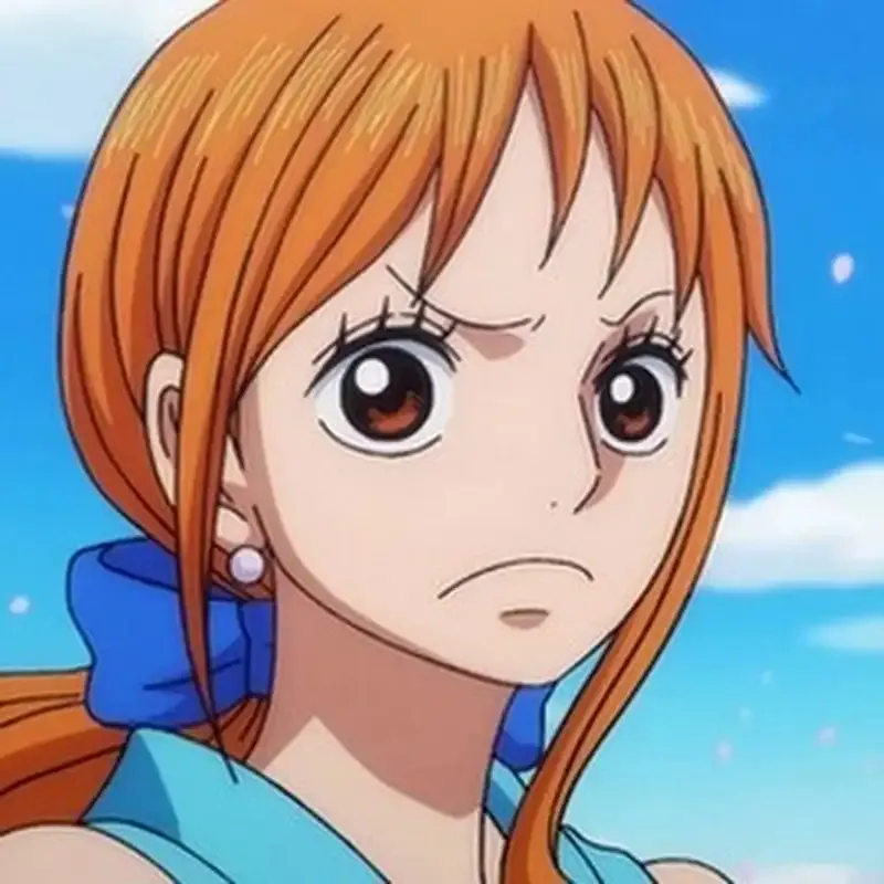  ảnh Nami 14