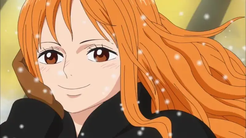  ảnh Nami 8