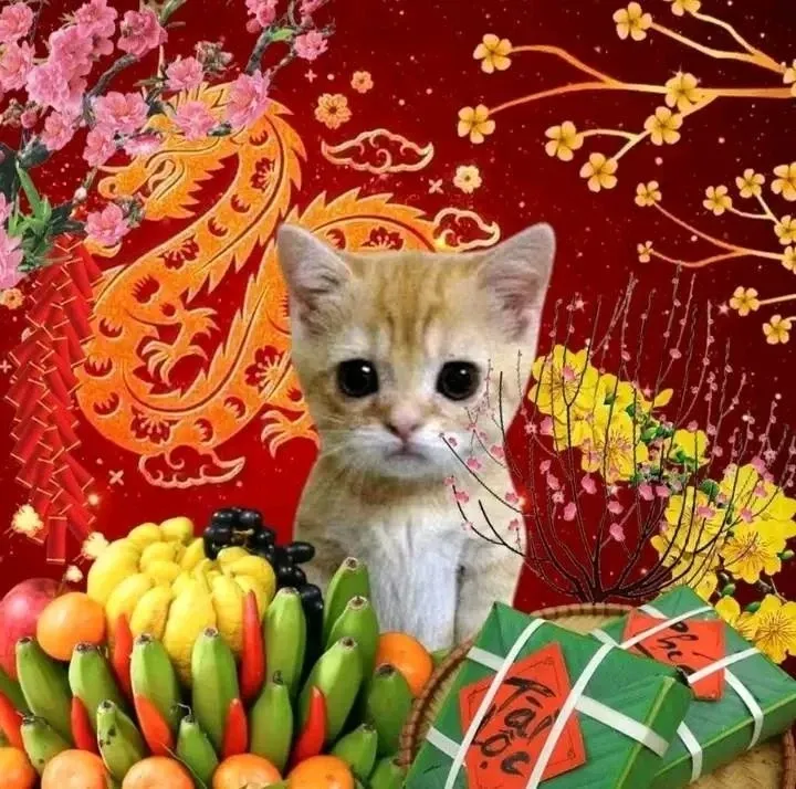 avatar tết meme 21