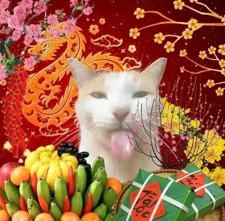 avatar tết meme 34