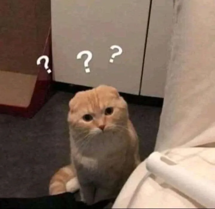 meme hỏi chấm 33