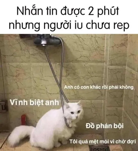 meme chờ đợi 5