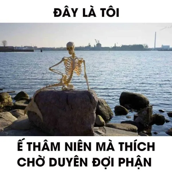 meme chờ đợi 18