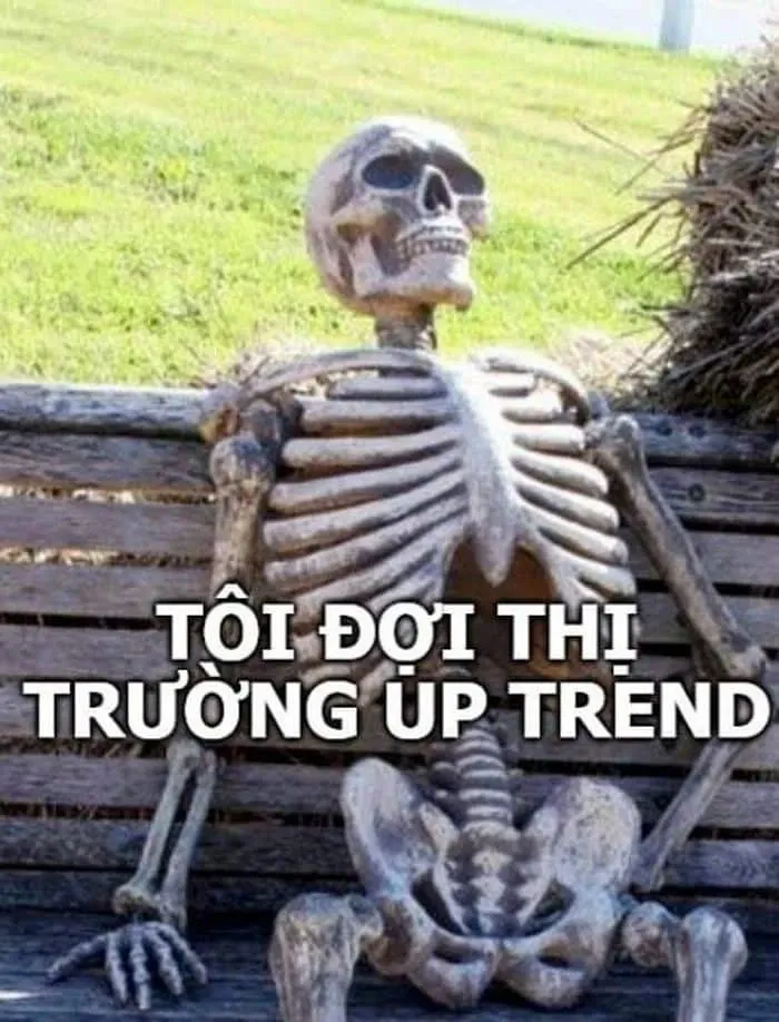 meme chờ đợi 22