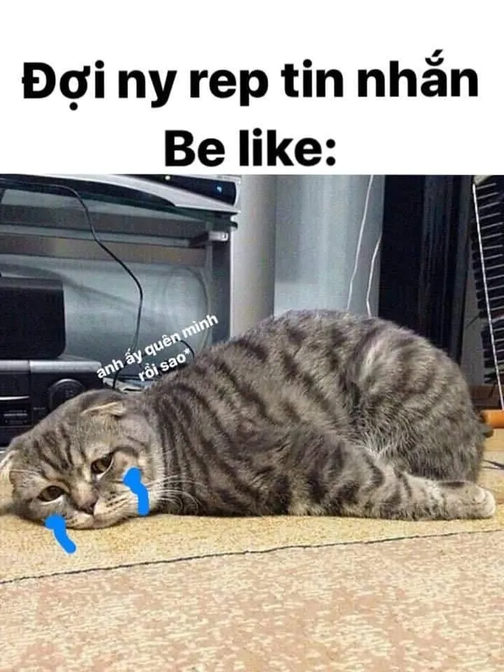 meme chờ đợi 28