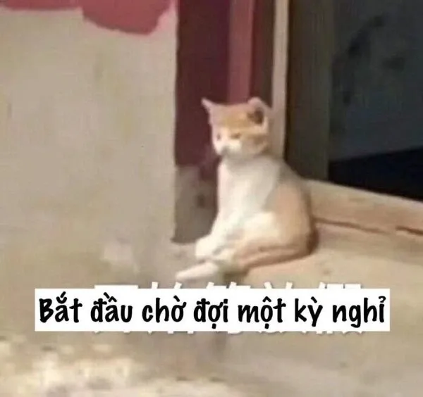 meme chờ đợi 30