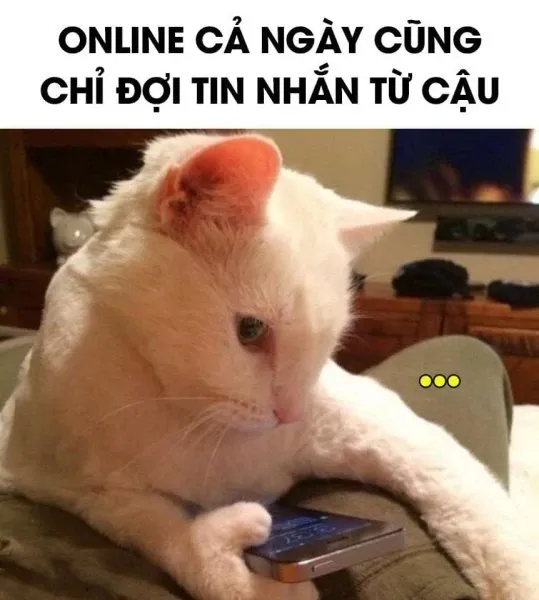 meme chờ đợi 32