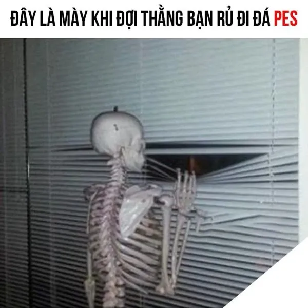 meme chờ đợi 35