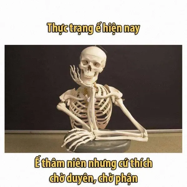 meme chờ đợi 36