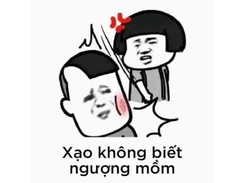 meme đấm 27