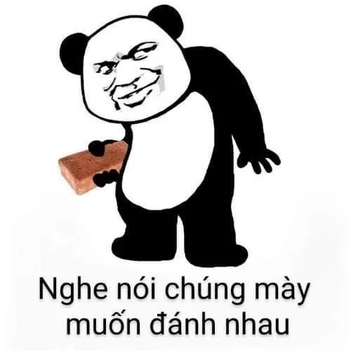 meme đấm 29