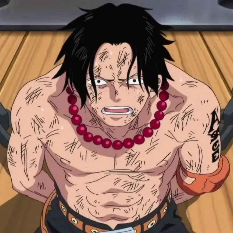 ảnh Portgas D. Ace 24