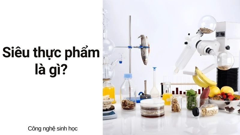 Siêu thực phẩm là gì và tại sao chúng ta cần chúng?