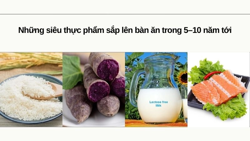 Những siêu thực phẩm sắp lên bàn ăn trong 5–10 năm tới