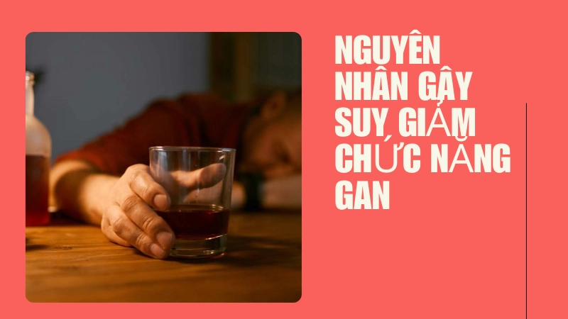 Lạm dụng rượu bia là nguyên nhân hàng đầu khiến gan bị tổn thương