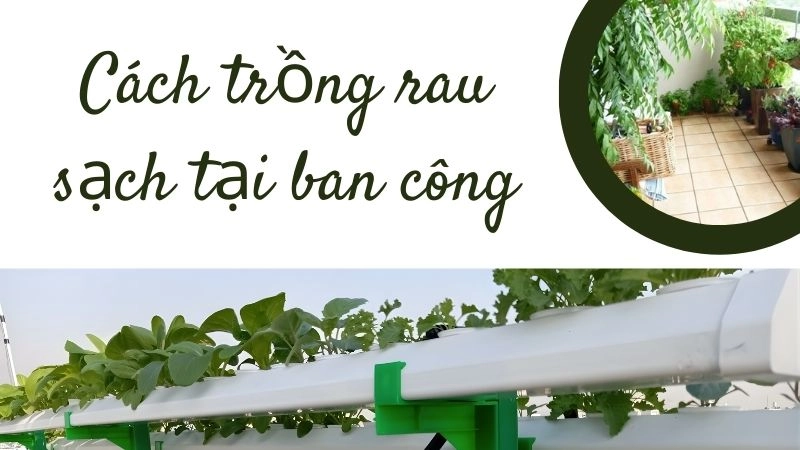 Chuẩn bị không gian và dụng cụ đơn giản nhất 