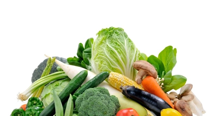 Chọn rau dễ trồng, ít đòi hỏi chăm sóc hàng ngày