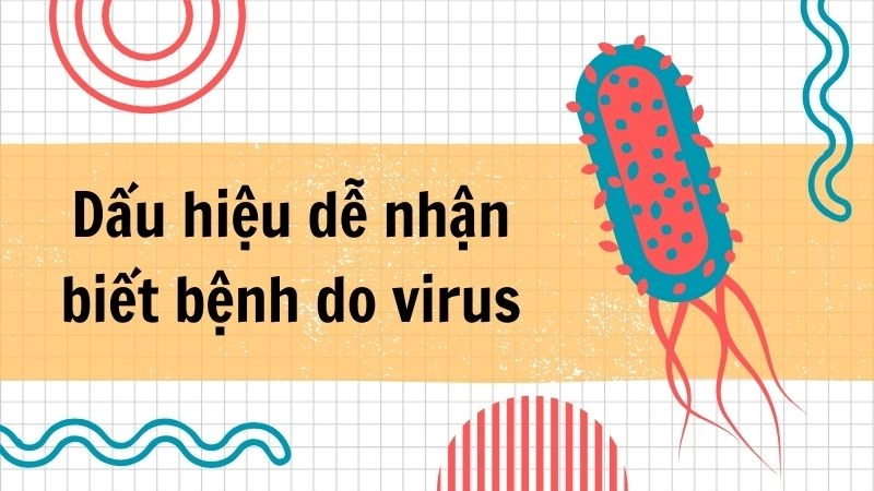 Dấu hiệu dễ nhận biết bệnh do virus