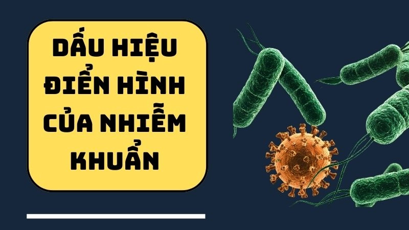 Dấu hiệu điển hình của nhiễm khuẩn