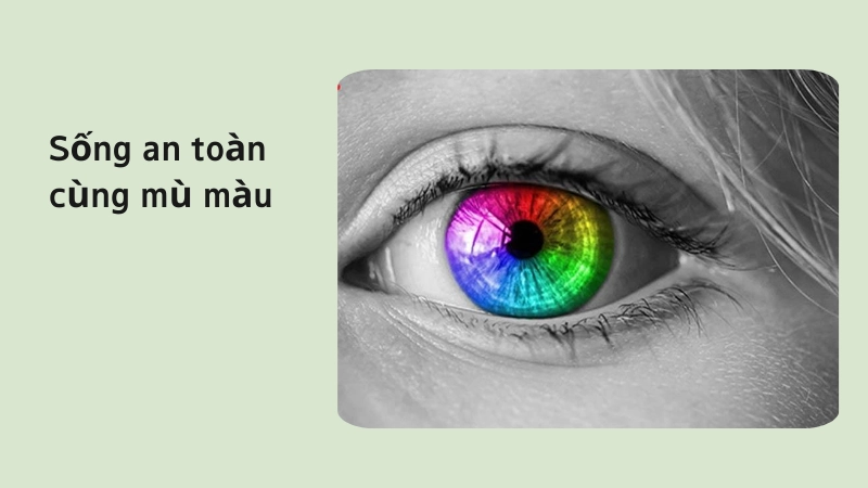 Giải pháp sống chung an toàn với mù màu