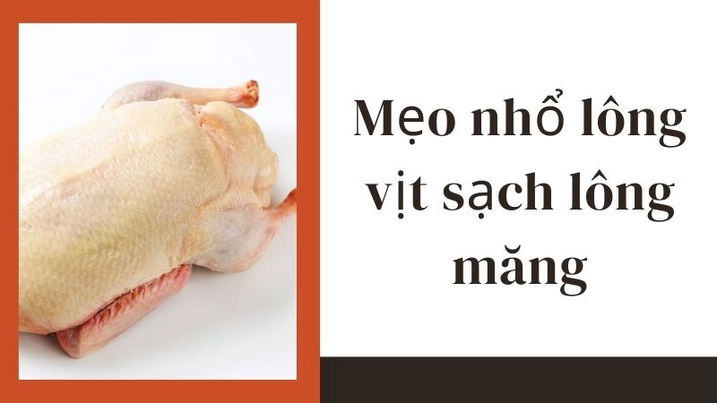 Bí quyết dùng rượu trắng và giấm cực hiệu quả